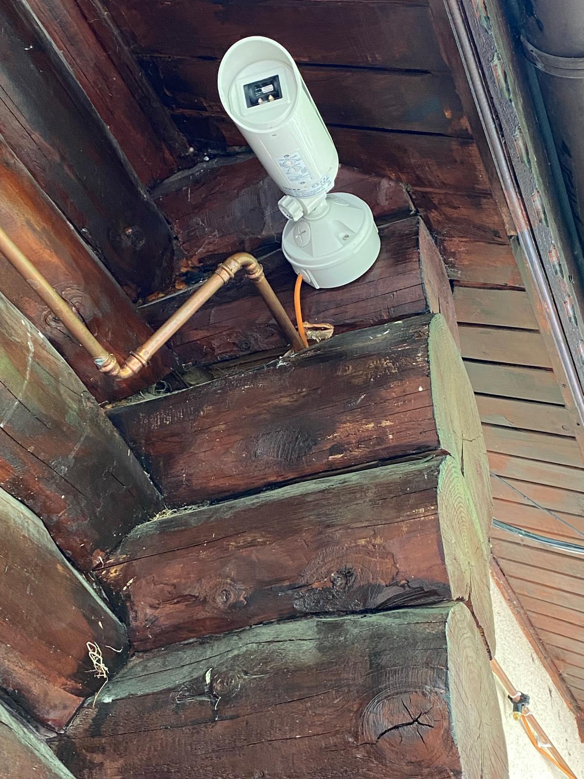 Detector flacara